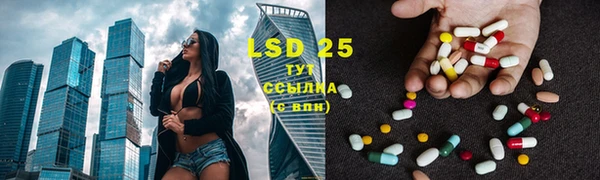 стаф Абинск